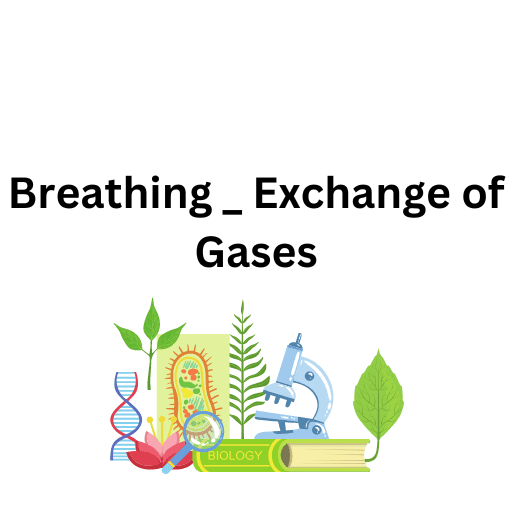 Breathing _ Exchange of Gases